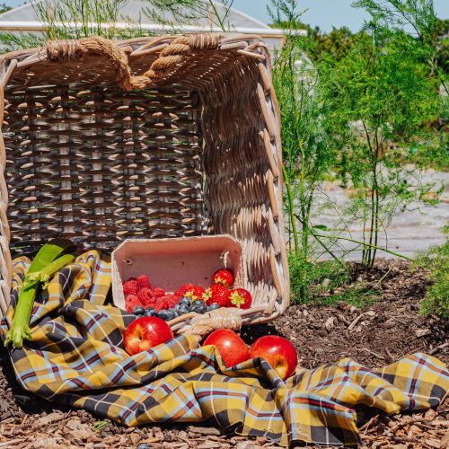 Seasonal Fruit Box