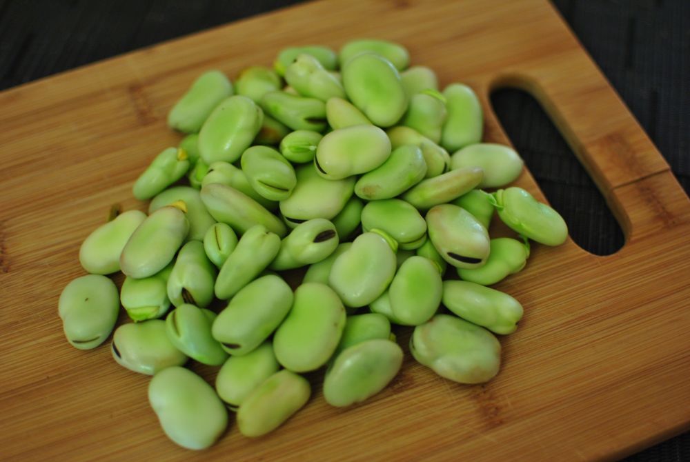 Broad Beans