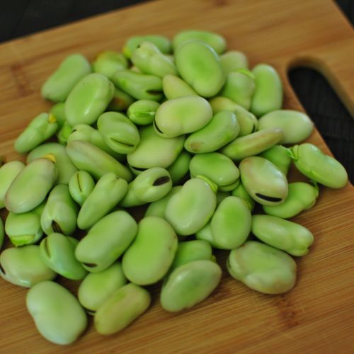 Broad Beans