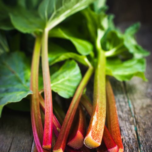 Rhubarb