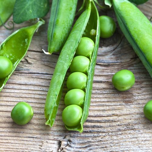 Garden Peas