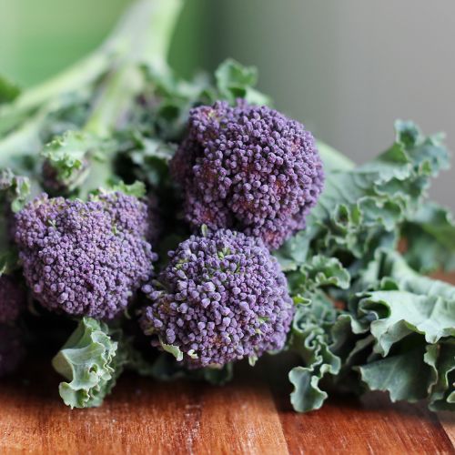 Purple Sprouting Broccoli