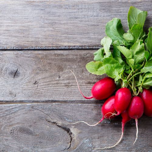 Radish, bunched