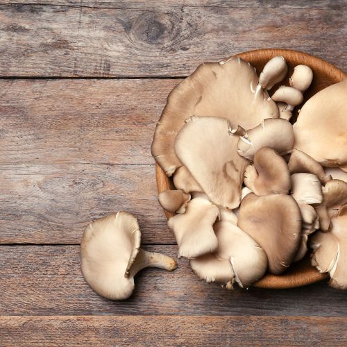 Oyster Mushrooms