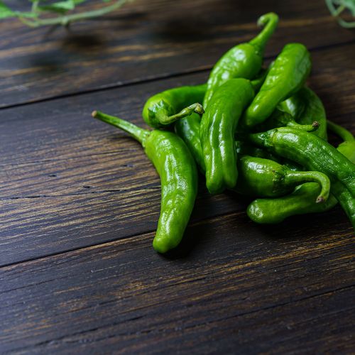Padron Peppers