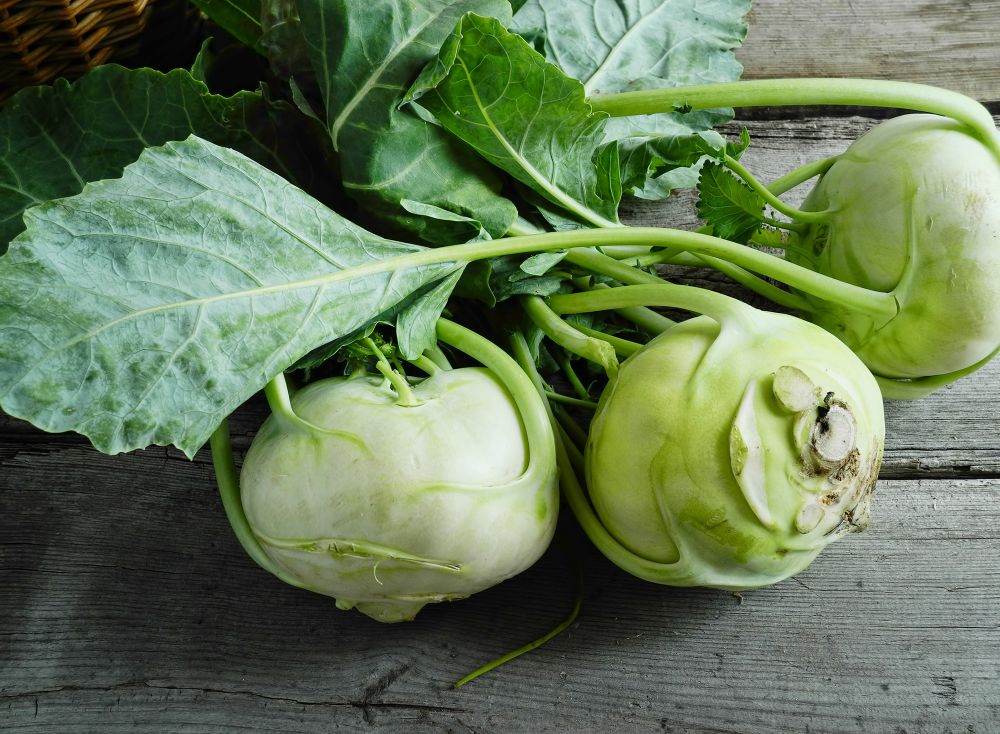 Kohlrabi