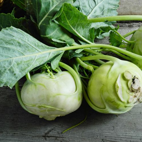Kohlrabi