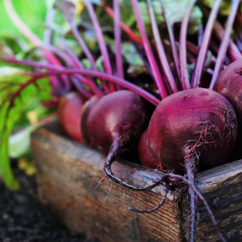 Beetroot
