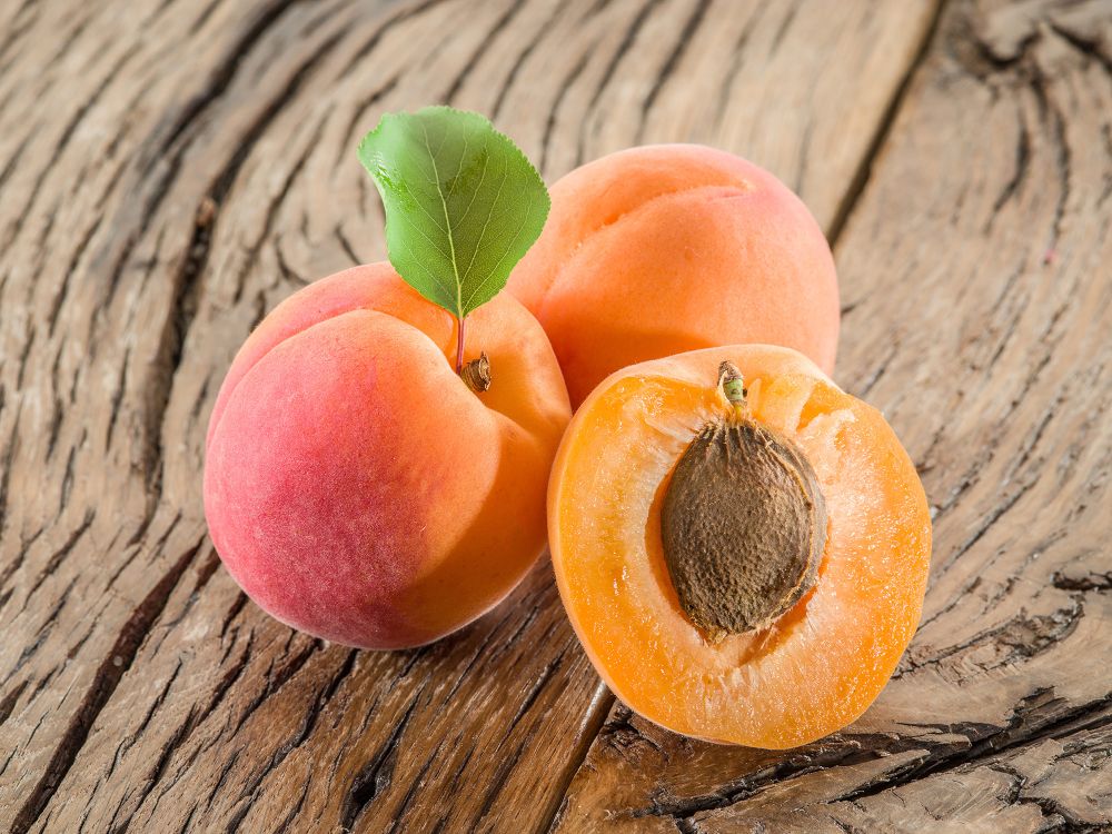 Apricots