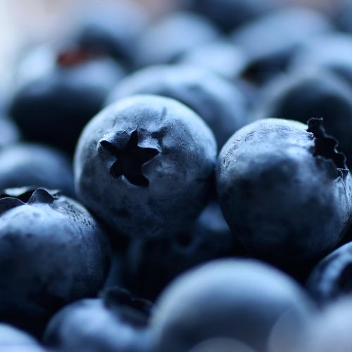 Blueberries 125g
