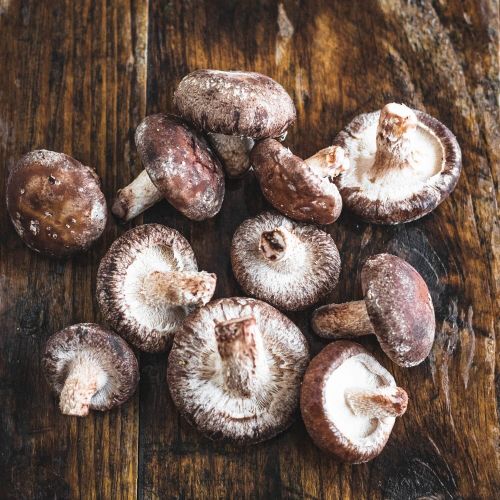 Shiitake Mushrooms