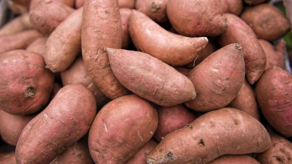 Sweet Potatoes ~600g