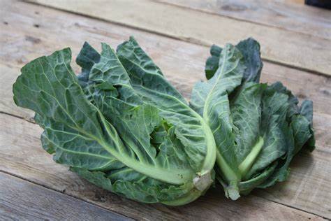 Sweetheart Cabbage