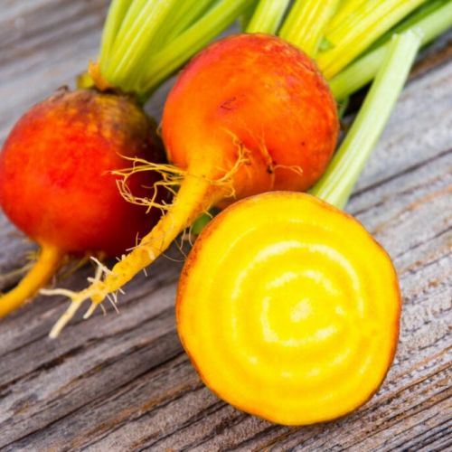 Golden Beetroot