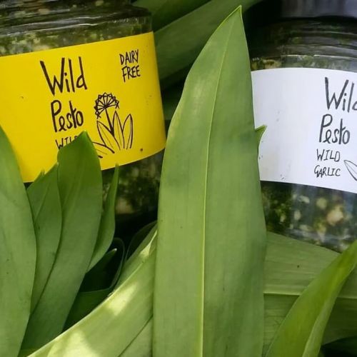 Vegan Wild Pesto, large