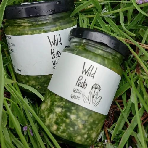 Wild Pesto, large