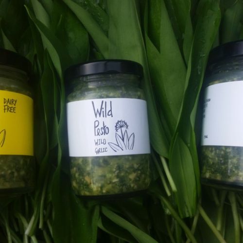 Wild Pesto, small