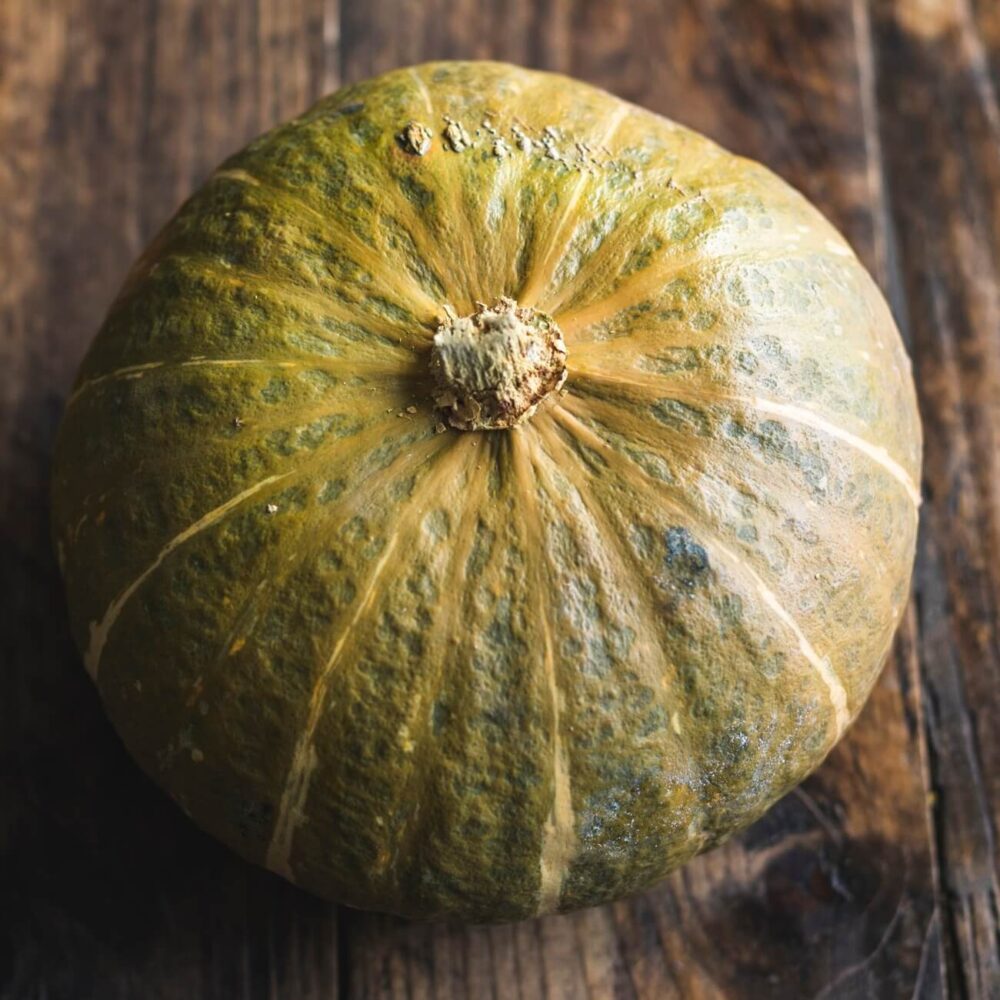 Sweet Mama Squash